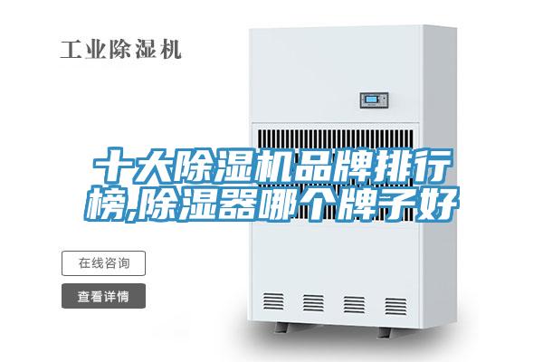 十大蕾丝视频污污污品牌排行榜,除湿器哪个牌子好