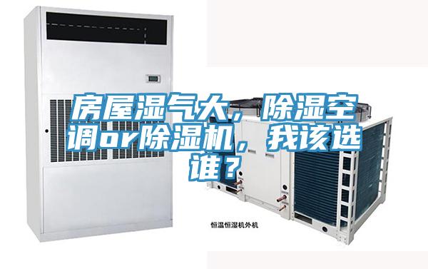 房屋湿气大，除湿空调or蕾丝视频污污污，我该选谁？