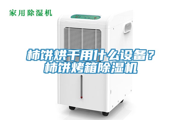 柿饼烘干用什么设备？柿饼烤箱蕾丝视频污污污