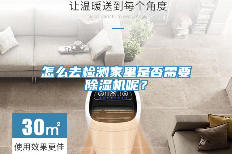 怎么去检测家里是否需要蕾丝视频污污污呢？
