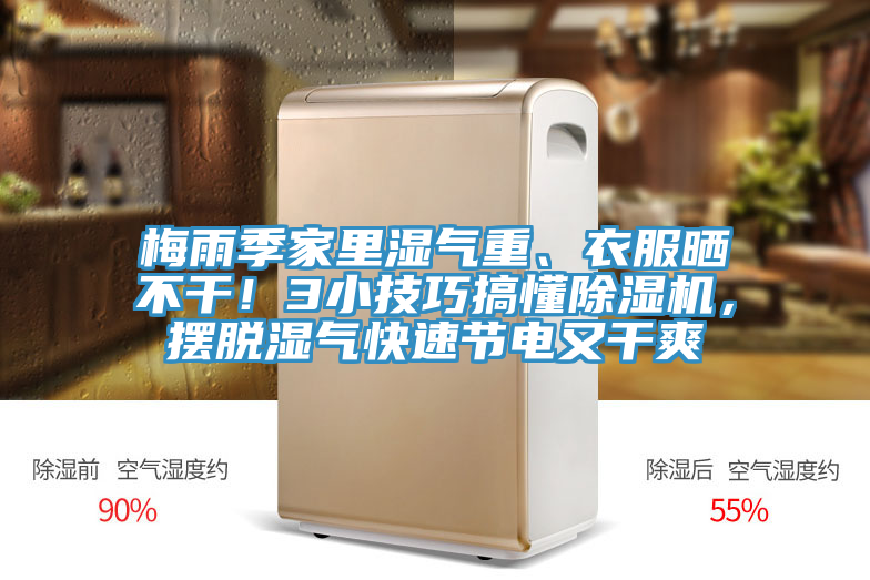 梅雨季家里湿气重、衣服晒不干！3小技巧搞懂蕾丝视频污污污，摆脱湿气快速节电又干爽