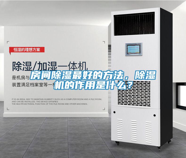 房间除湿最好的方法，蕾丝视频污污污的作用是什么？