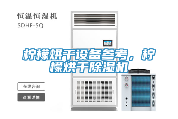 柠檬烘干设备参考，柠檬烘干蕾丝视频污污污