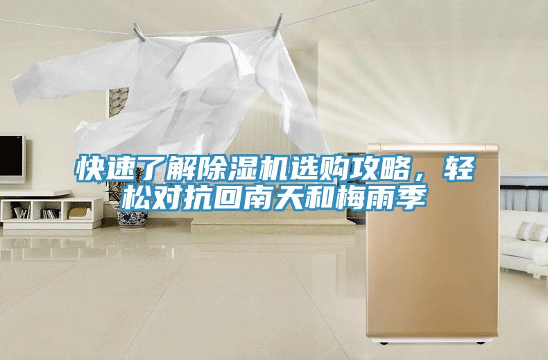 快速了解蕾丝视频污污污选购攻略，轻松对抗回南天和梅雨季