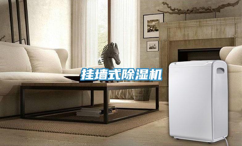 挂墙式蕾丝视频污污污