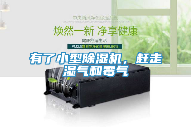 有了小型蕾丝视频污污污，赶走湿气和霉气