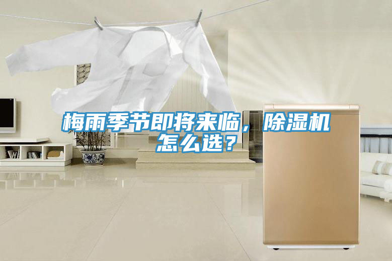 梅雨季节即将来临，蕾丝视频污污污怎么选？