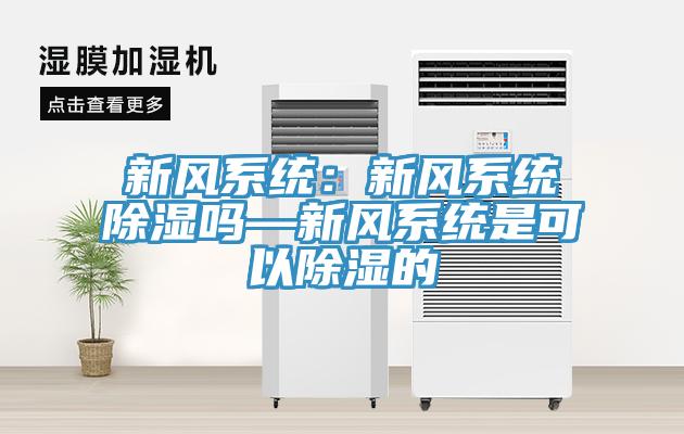 新风系统：新风系统除湿吗—新风系统是可以除湿的