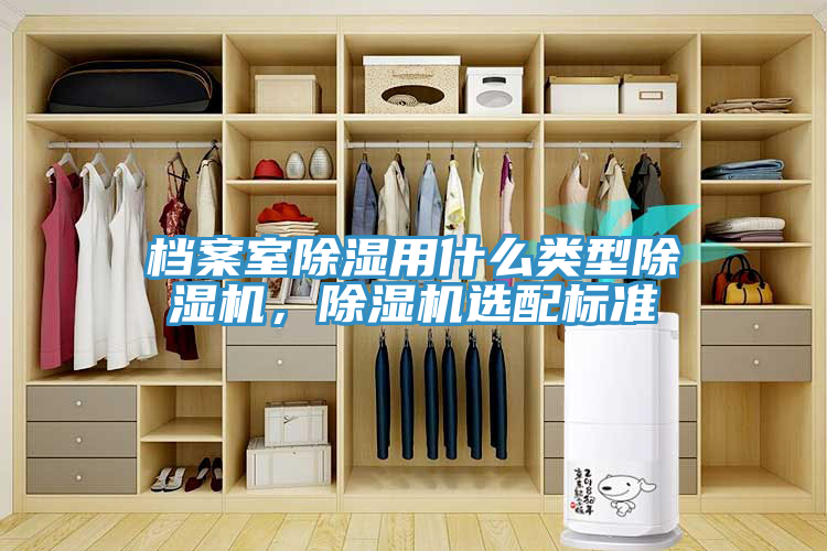 档案室除湿用什么类型蕾丝视频污污污，蕾丝视频污污污选配标准