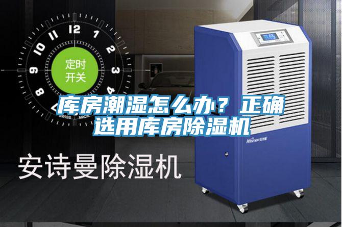 库房潮湿怎么办？正确选用库房蕾丝视频污污污