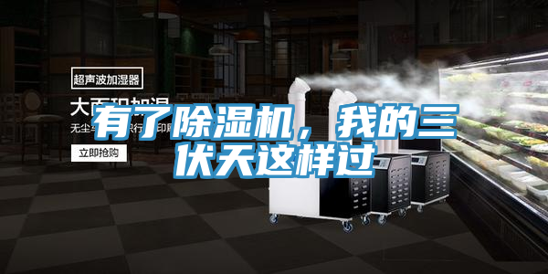 有了蕾丝视频污污污，我的三伏天这样过