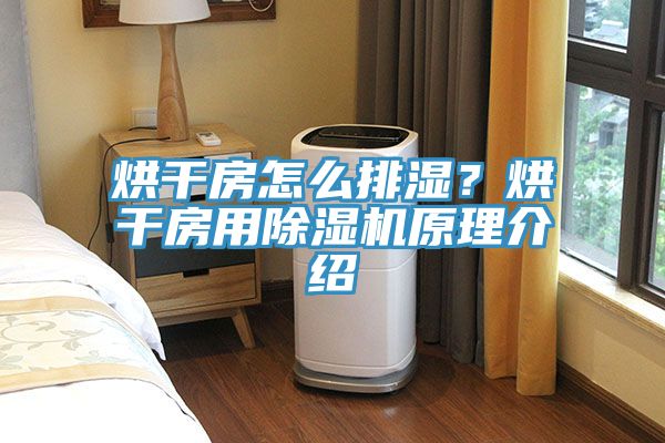 烘干房怎么排湿？烘干房用蕾丝视频污污污原理介绍