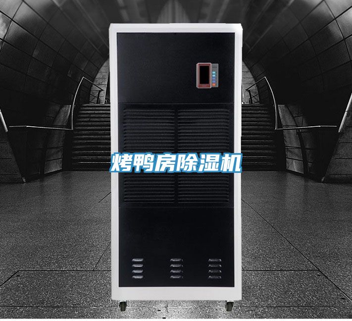 烤鸭房蕾丝视频污污污