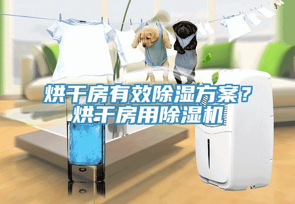 烘干房有效除湿方案？烘干房用蕾丝视频污污污