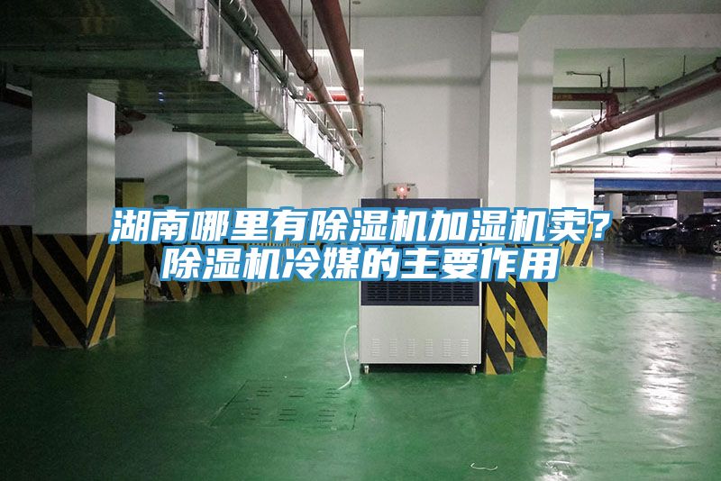 湖南哪里有蕾丝视频污污污加湿机卖？蕾丝视频污污污冷媒的主要作用