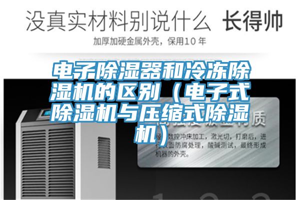 电子除湿器和冷冻蕾丝视频污污污的区别（电子式蕾丝视频污污污与压缩式蕾丝视频污污污）