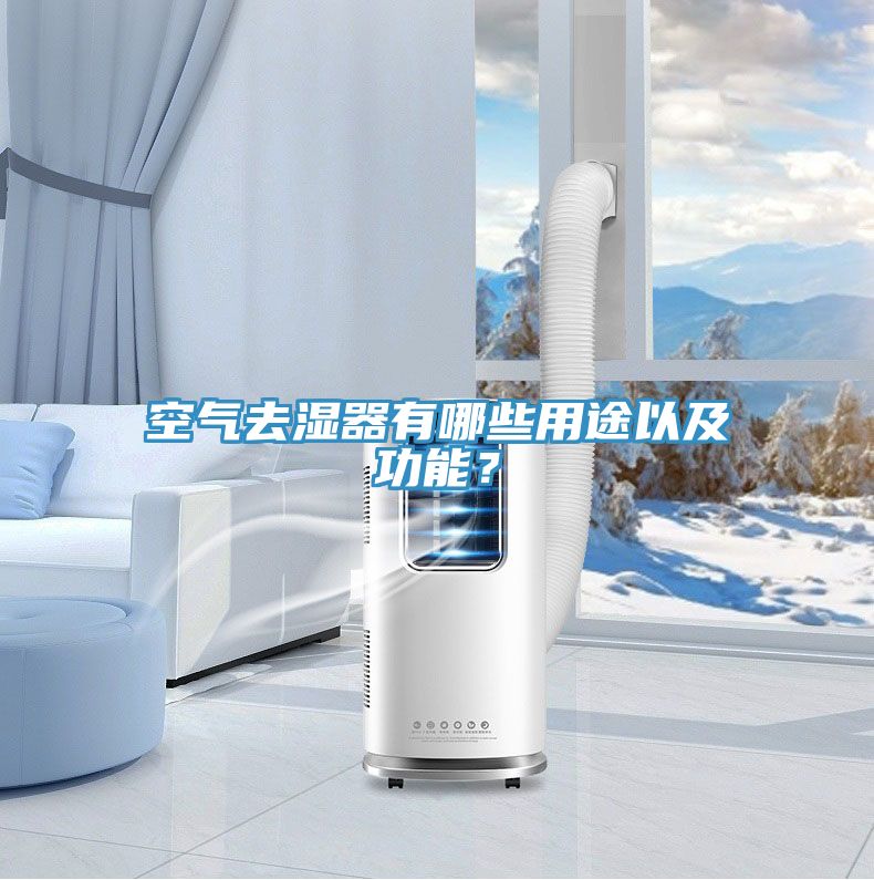 空气去湿器有哪些用途以及功能？