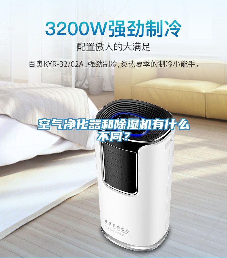 空气净化器和蕾丝视频污污污有什么不同？
