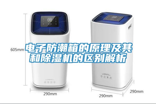 电子防潮箱的原理及其和蕾丝视频污污污的区别解析