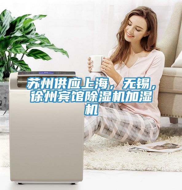 苏州供应上海，无锡，徐州宾馆蕾丝视频污污污加湿机
