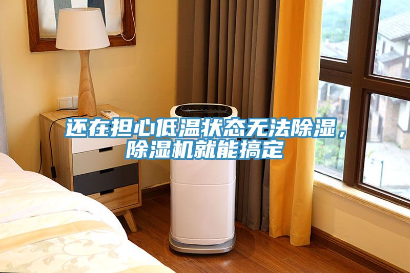 还在担心低温状态无法除湿，蕾丝视频污污污就能搞定