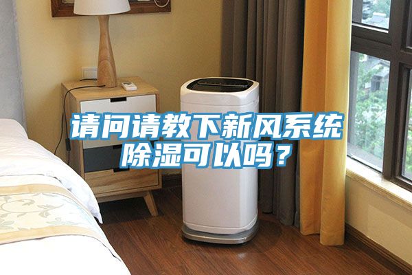 请问请教下新风系统除湿可以吗？