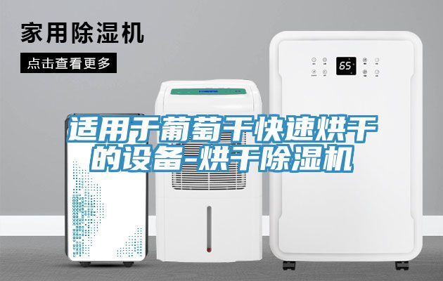 适用于葡萄干快速烘干的设备-烘干蕾丝视频污污污