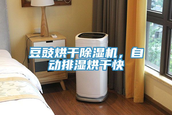 豆豉烘干蕾丝视频污污污，自动排湿烘干快