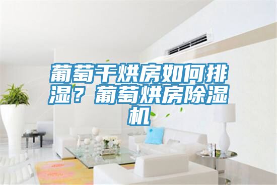 葡萄干烘房如何排湿？葡萄烘房蕾丝视频污污污
