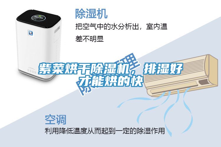 紫菜烘干蕾丝视频污污污，排湿好才能烘的快