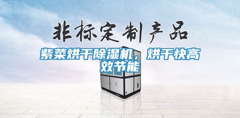 紫菜烘干蕾丝视频污污污，烘干快高效节能