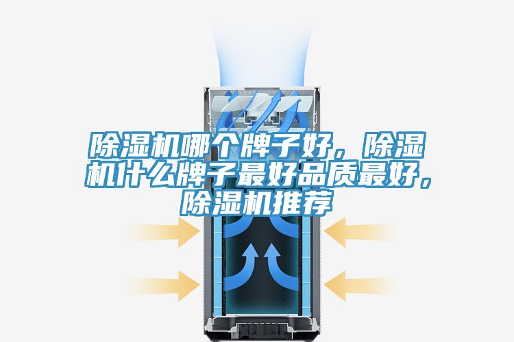 蕾丝视频污污污哪个牌子好，蕾丝视频污污污什么牌子最好品质最好，蕾丝视频污污污推荐