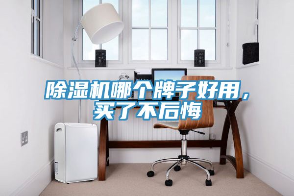 蕾丝视频污污污哪个牌子好用，买了不后悔