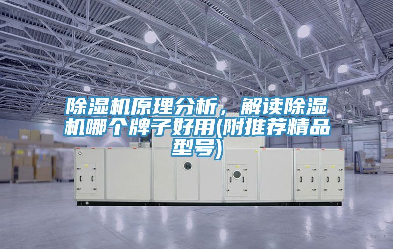 蕾丝视频污污污原理分析，解读蕾丝视频污污污哪个牌子好用(附推荐精品型号)
