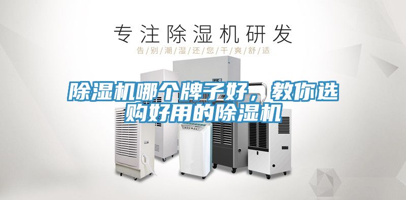 蕾丝视频污污污哪个牌子好，教你选购好用的蕾丝视频污污污
