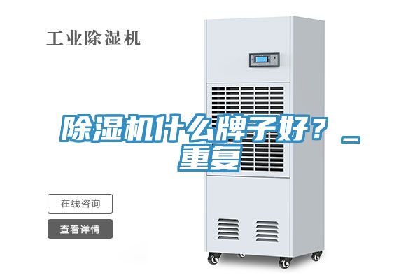 蕾丝视频污污污什么牌子好？_重复