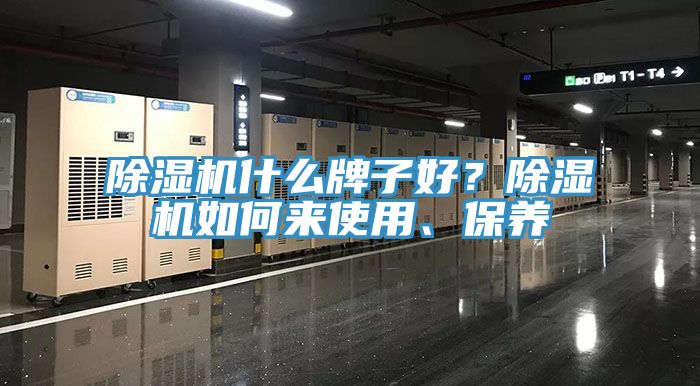 蕾丝视频污污污什么牌子好？蕾丝视频污污污如何来使用、保养