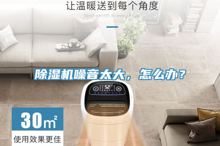 蕾丝视频污污污噪音太大，怎么办？
