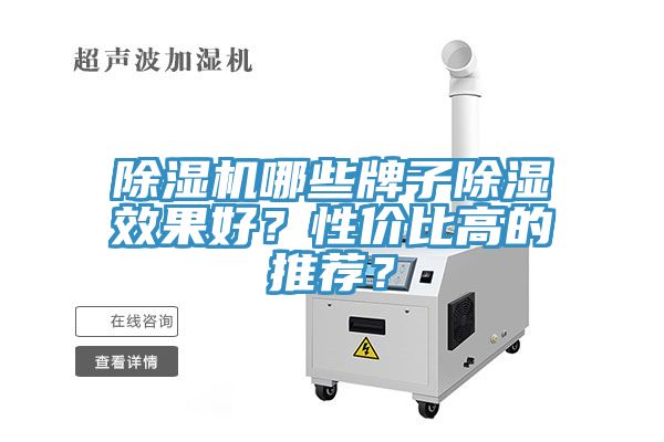 蕾丝视频污污污哪些牌子除湿效果好？性价比高的推荐？