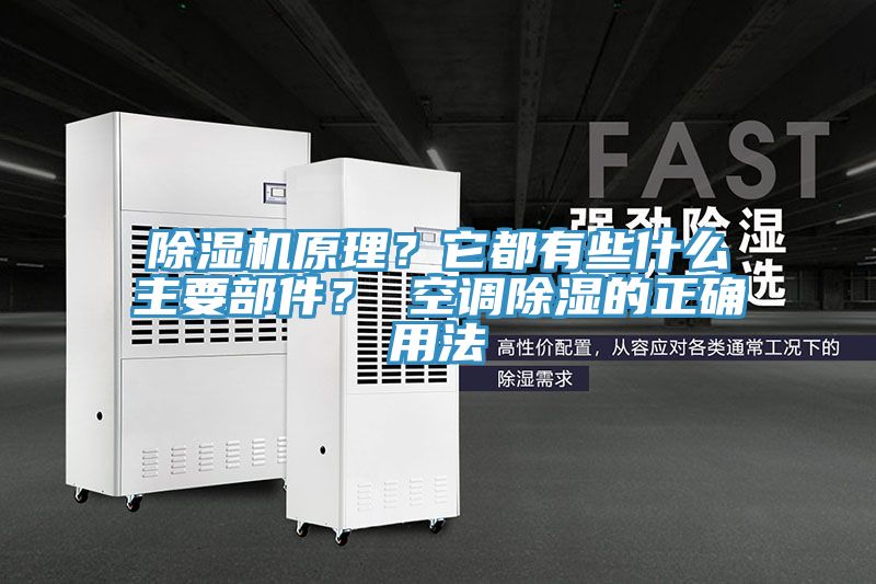 蕾丝视频污污污原理？它都有些什么主要部件？ 空调除湿的正确用法