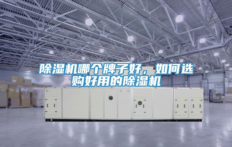 蕾丝视频污污污哪个牌子好，如何选购好用的蕾丝视频污污污
