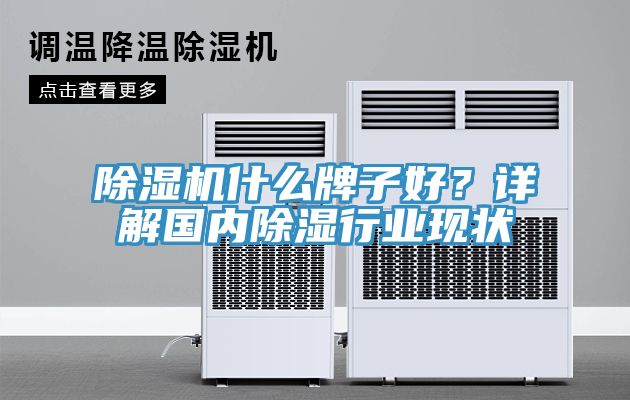 蕾丝视频污污污什么牌子好？详解国内除湿行业现状