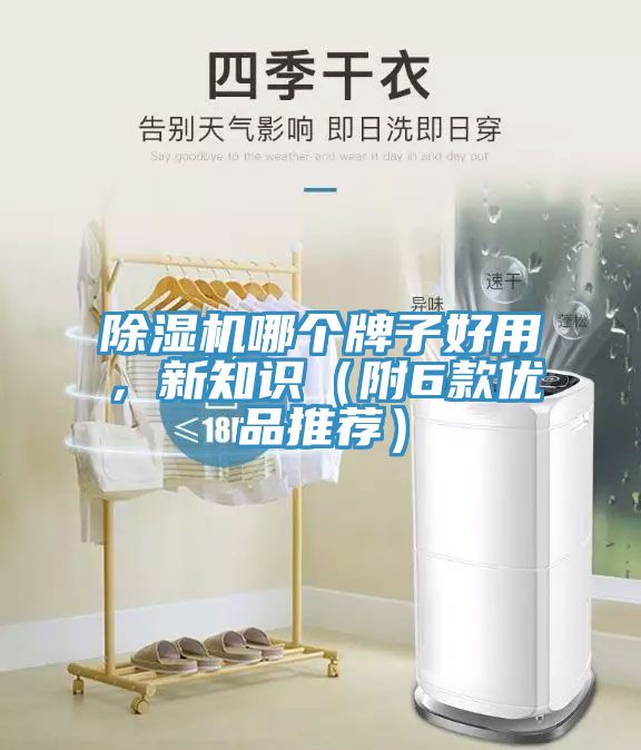 蕾丝视频污污污哪个牌子好用，新知识（附6款优品推荐）