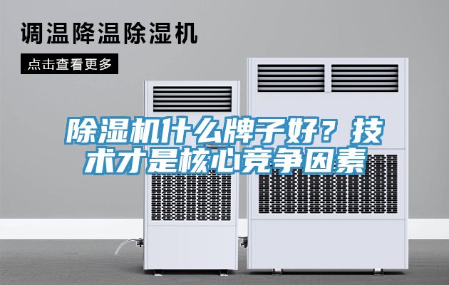 蕾丝视频污污污什么牌子好？技术才是核心竞争因素