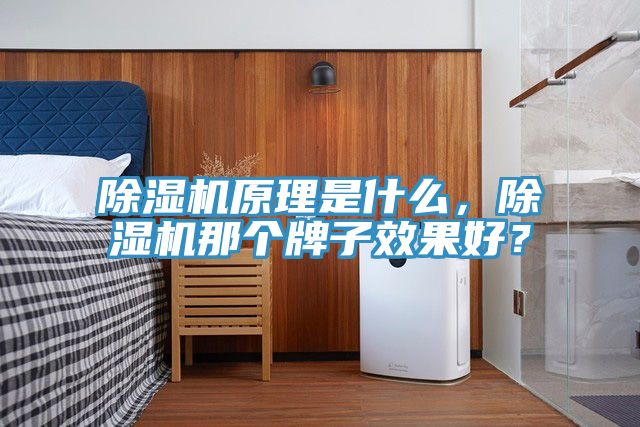蕾丝视频污污污原理是什么，蕾丝视频污污污那个牌子效果好？