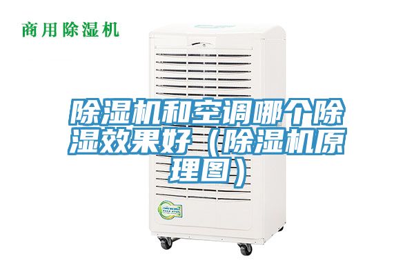 蕾丝视频污污污和空调哪个除湿效果好（蕾丝视频污污污原理图）