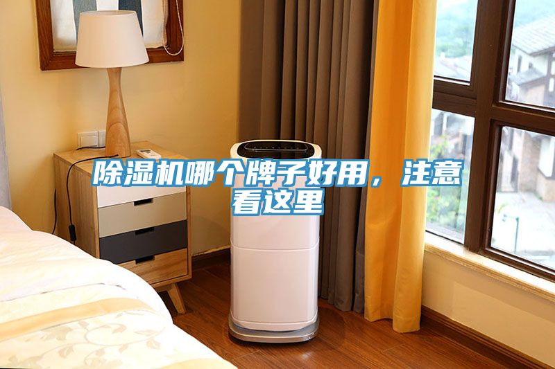 蕾丝视频污污污哪个牌子好用，注意看这里