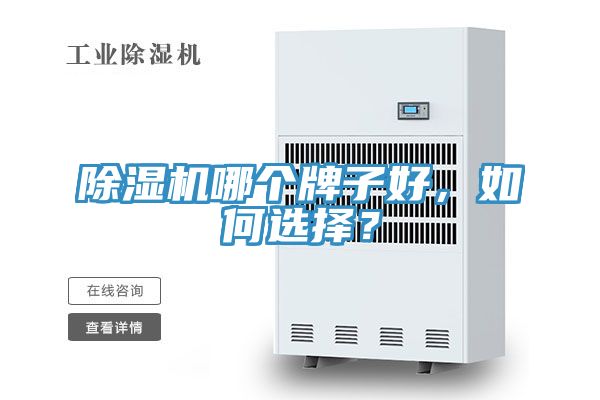 蕾丝视频污污污哪个牌子好，如何选择？