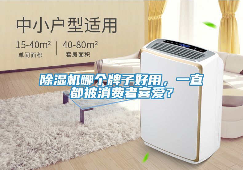 蕾丝视频污污污哪个牌子好用，一直都被消费者喜爱？