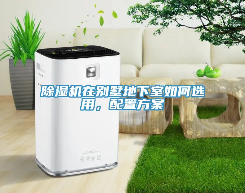 蕾丝视频污污污在别墅地下室如何选用，配置方案